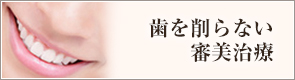 歯を削らない審美治療