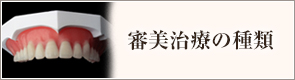 審美治療の種類